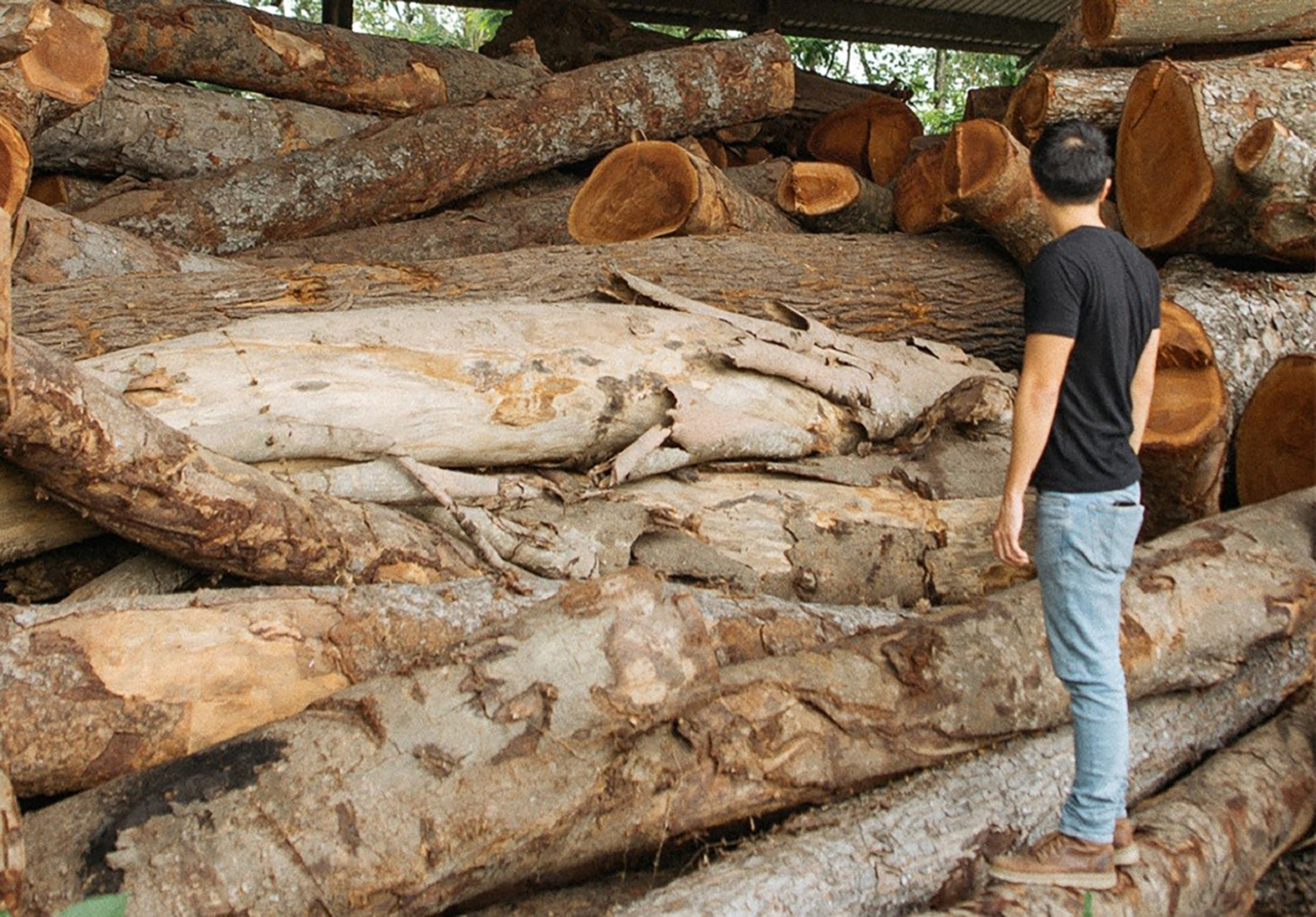 Designing a sustainable process for Singapore wood (Part 3 of 6)
